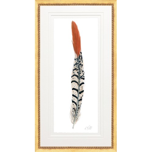 KS- PHEASANT FEATHER 1